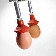 COVAL at the heart of the food processing industry